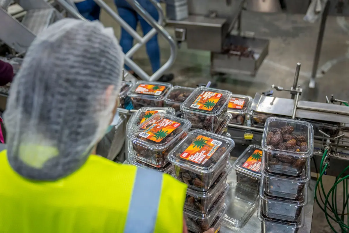 A worker in a hairnet and hi-vis on a packaging line